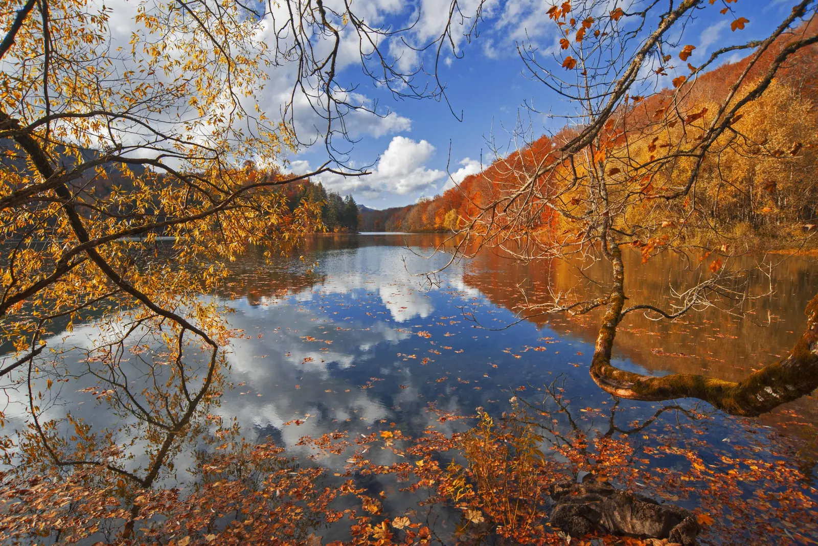 Autumn foliage reflected across calm Biogradsko Lake